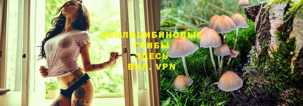 мет Михайловка